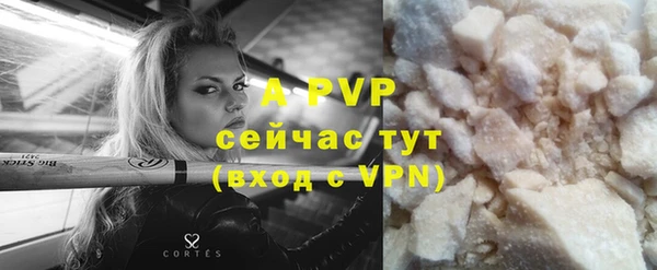 гидра Верхний Тагил