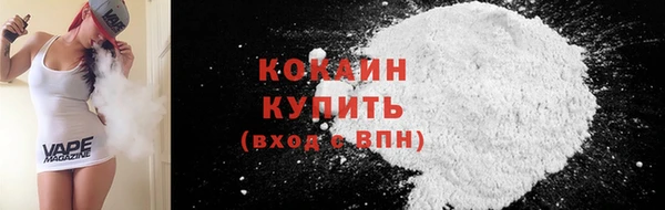 гидра Верхний Тагил