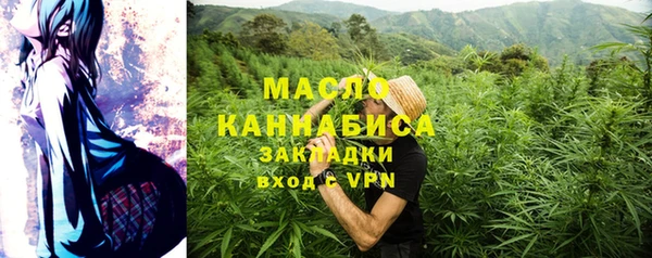 гидра Верхний Тагил