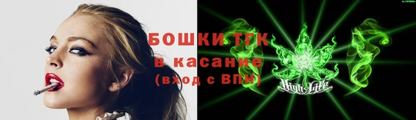 гидра Верхний Тагил