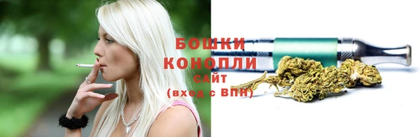 гидра Верхний Тагил