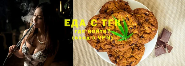 гидра Верхний Тагил