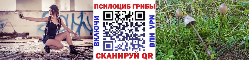 Галлюциногенные грибы мухоморы Жуковский