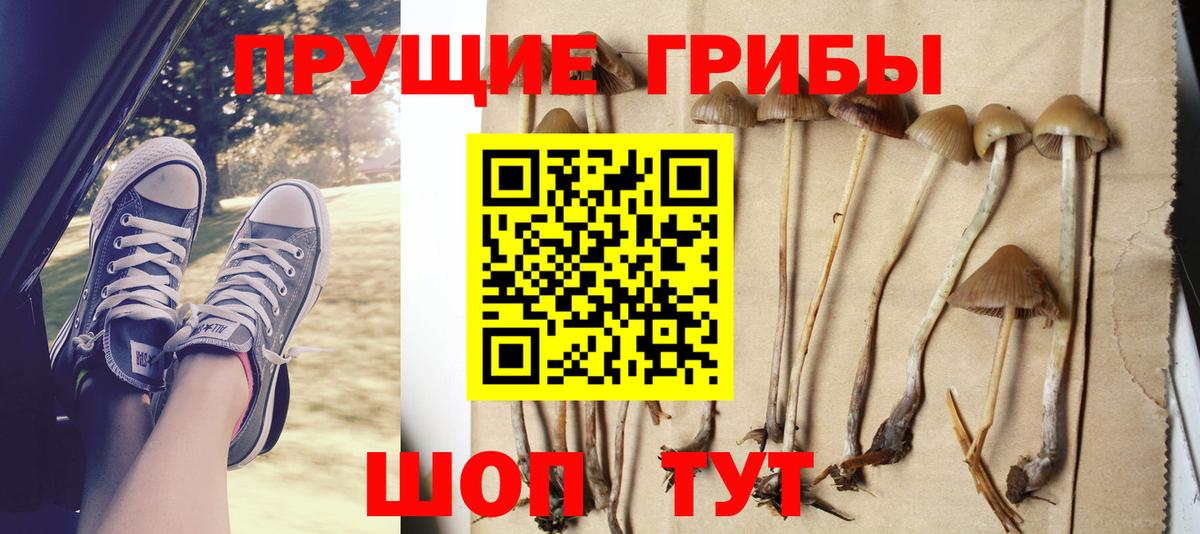 Галлюциногенные грибы прущие грибы  Жуковский  Псилоцибиновые грибы прущие грибы 