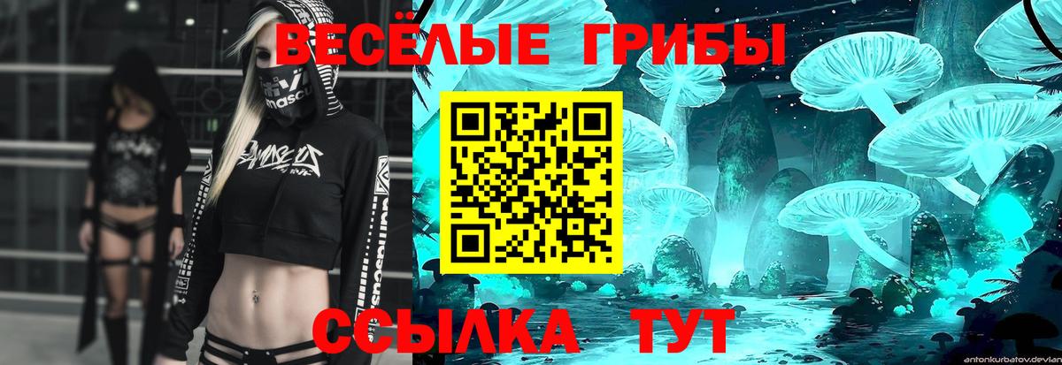 Псилоцибиновые грибы MAGIC MUSHROOMS Жуковский