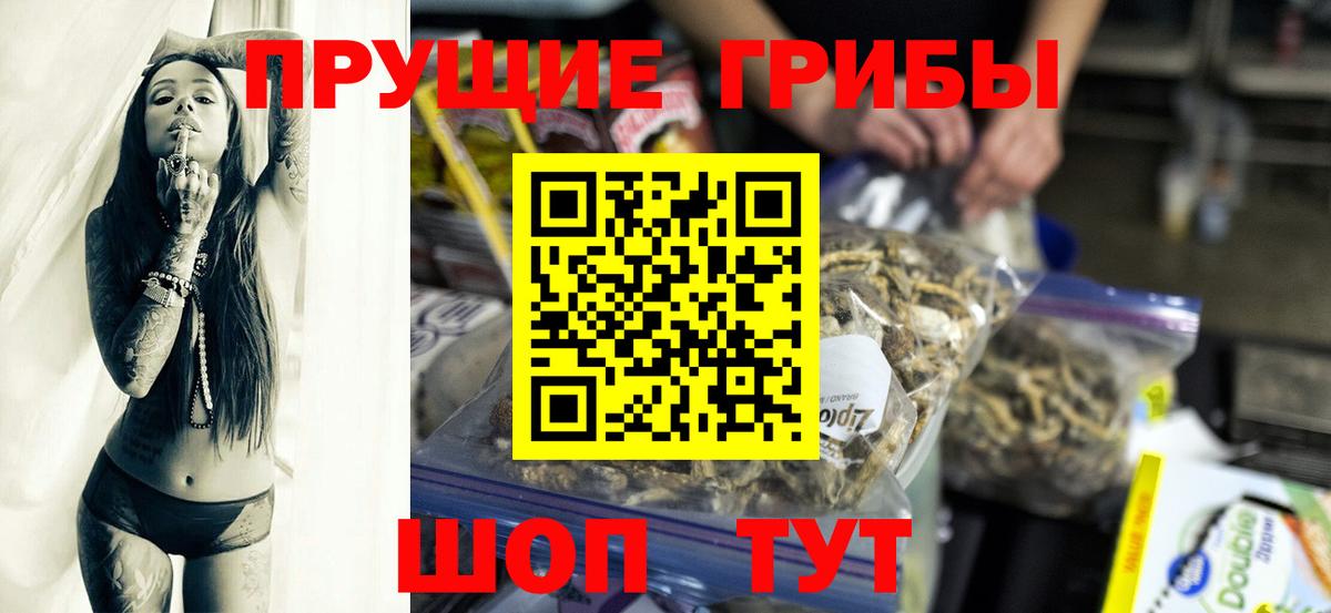Жуковский  Псилоцибиновые грибы GOLDEN TEACHER  Вход с VPN 